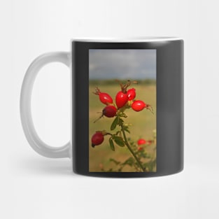 Rose Hip Berries Mug